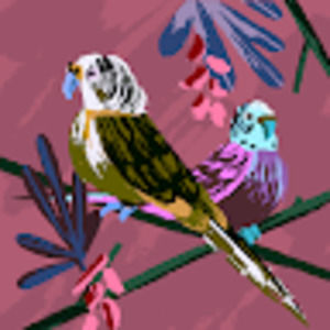 Meet your Posher, T.